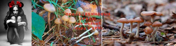 мескалин Нязепетровск