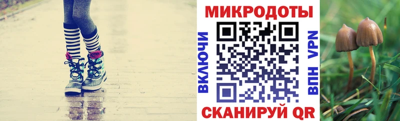 Галлюциногенные грибы Magic Shrooms  купить   Сертолово 